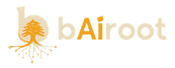 bairoot.ai