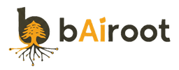 bairoot.ai